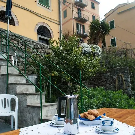 Sea View Garden