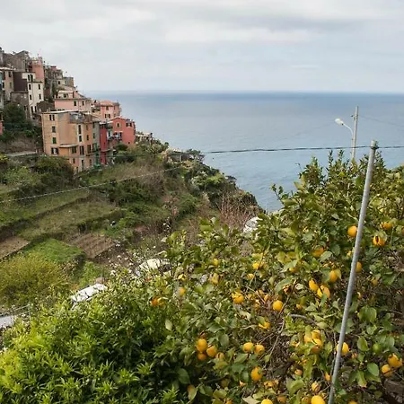 Sea View Garden